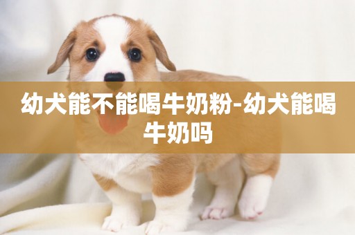 幼犬能不能喝牛奶粉-幼犬能喝牛奶吗